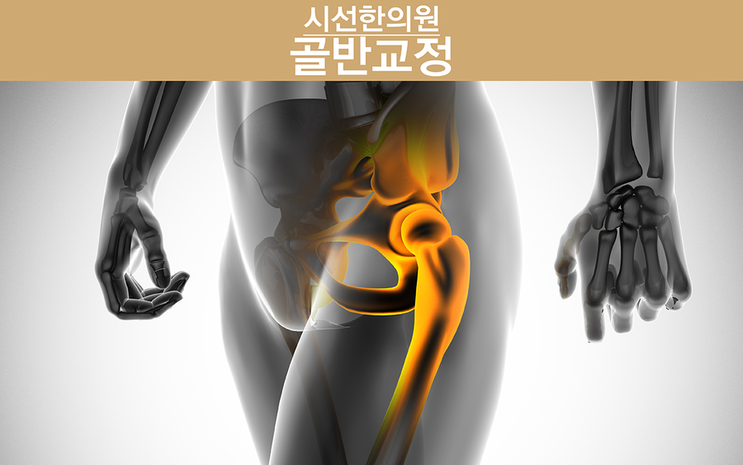 우리 몸에 골반은 허리 부분을 형성하고 있는 깔때기 모양의 골격인데, 크게 3조각의 뼈로 맞물린 구조로 구성되어 있습니다. 그 중심에는 척추의 ...