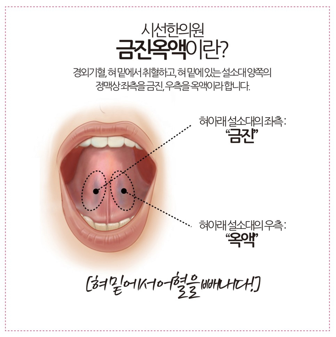 None, 사전적 의미는 경외기혈, 혀밑에서 취혈하고, 혀 밑에 있는 설소대 양쪽 정맥 상 좌측을 금진, 우측을 ... | SEASUN Korean Medicine Clinic