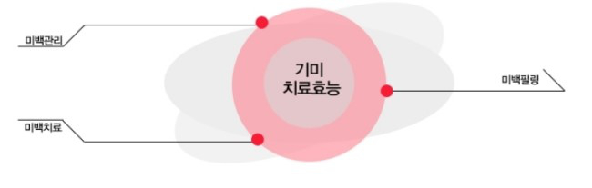 피부에 이미 형성된 멜라닌 색소를 제거하여 기미, 잡티를 개선하여 자외선으로 인해 손상되고 그을린 피부를 화이트닝 시켜주고 유해산소를 중화시킴으로 멜라닌 형성을 ...