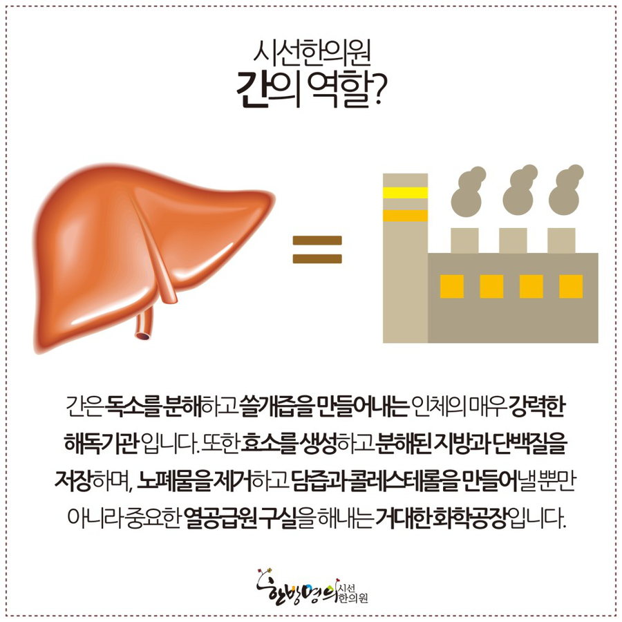 먼저 간해독에 대해 설명하기 전 간의 역할과 기능에 대해서 간단하게 말씀드려볼게요^^ 간은 인체에 없어서는 안 될 기관 중 하나인데요, 그 ...